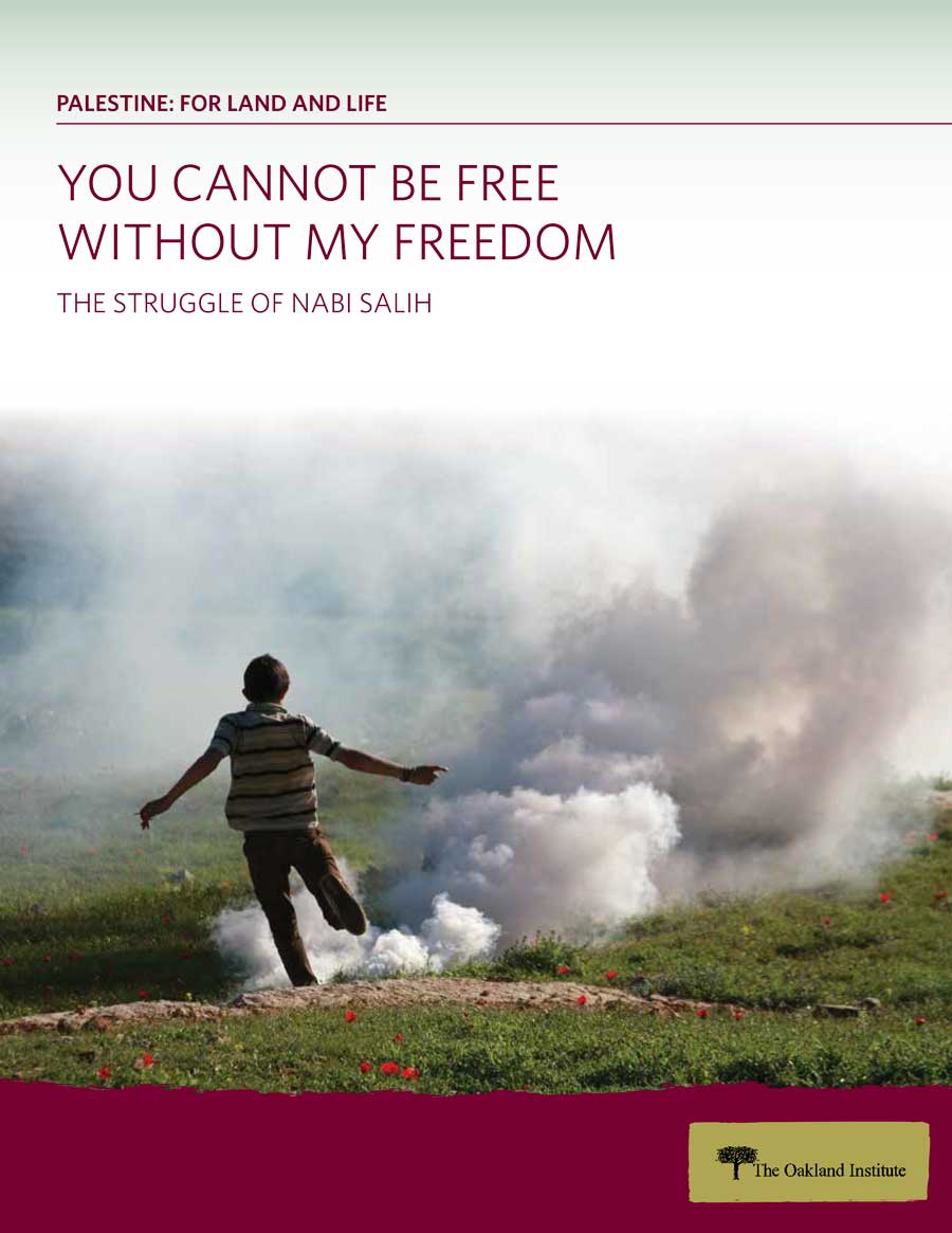 The Struggle for Nabi Salih report cover
