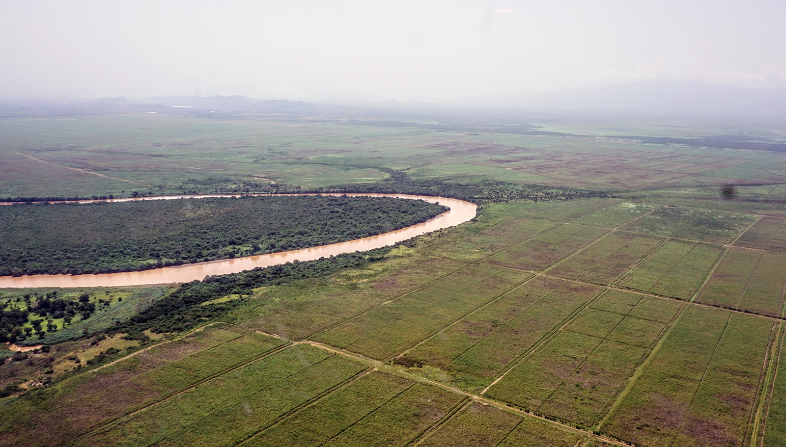 Sugar plantations next to the Omo River