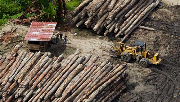 Logging camp in Fergusson Island, Milne Bay. 