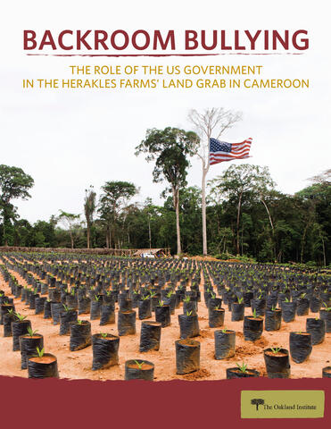 Backroom Bullying: The Role of the United States Government in the Herakles Farms’ Land Grab in Cameroon -Report Cover