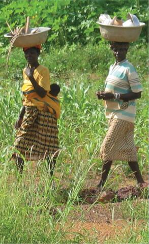 Women’s Association for Compost and Other Agroecological Practices in Burkina Faso