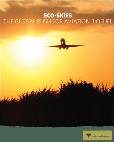 Eco-Skies report cover