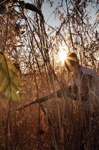 Addressing the Challenges of Food Insecurity and Environmental Degradation in Zambia