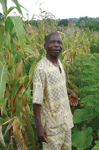 Agroforesterie pour la Sécurité Alimentaire au Malawi