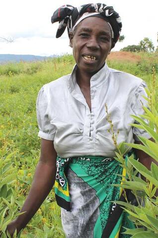 Legume Diversification to Improve Soil Fertility in Malawi