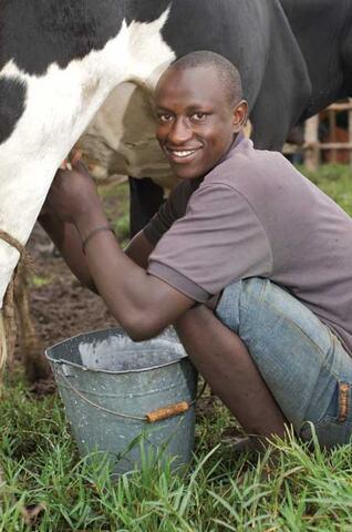 Integrating Livestock, Agroforestry, Organic Vegetable Production, Farmer Cooperatives and Extension in Rwanda