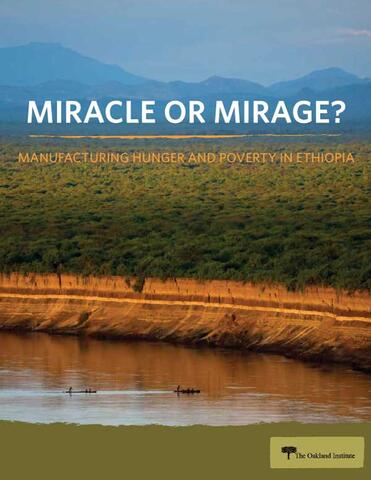 Miracle or Mirage Report Cover