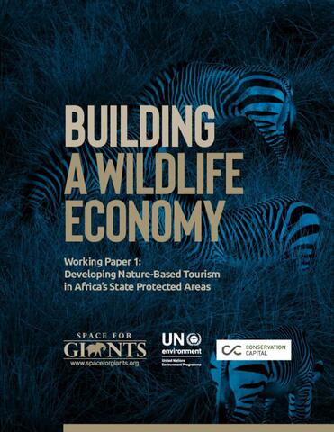 Space for Giants, Building Africas Wildlife Economy — 2019
