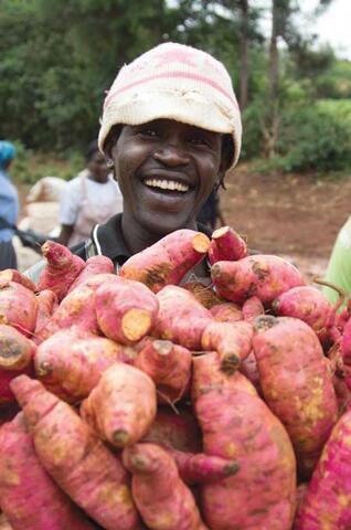 Sweet Potato to Fight Vitamin A Deficiency and Reduce Malnutrition