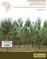 The Darker Side of Green: Plantation Forestry and Carbon Violence in Uganda