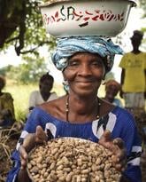 Agroforestry to Improve Farm Productivity in Mali