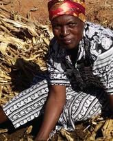 Mulch and Seed Banks: Conservation Farming in Zimbabwe