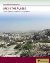Life in the Rubble Cover