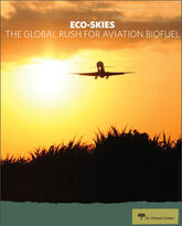 Eco-Skies report cover