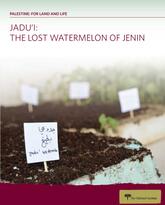Jadu'I: The Lost Watermelon of Jenin, Cover