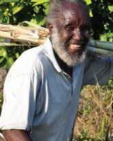 Agro-Ecology and Water Harvesting in Zimbabwe