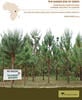 The Darker Side of Green: Plantation Forestry and Carbon Violence in Uganda