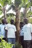 Lutte Contre la Maladie du Flétrissement de la Banane en République Démocratique du Congo (RDC)