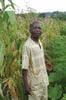 Agroforesterie pour la Sécurité Alimentaire au Malawi