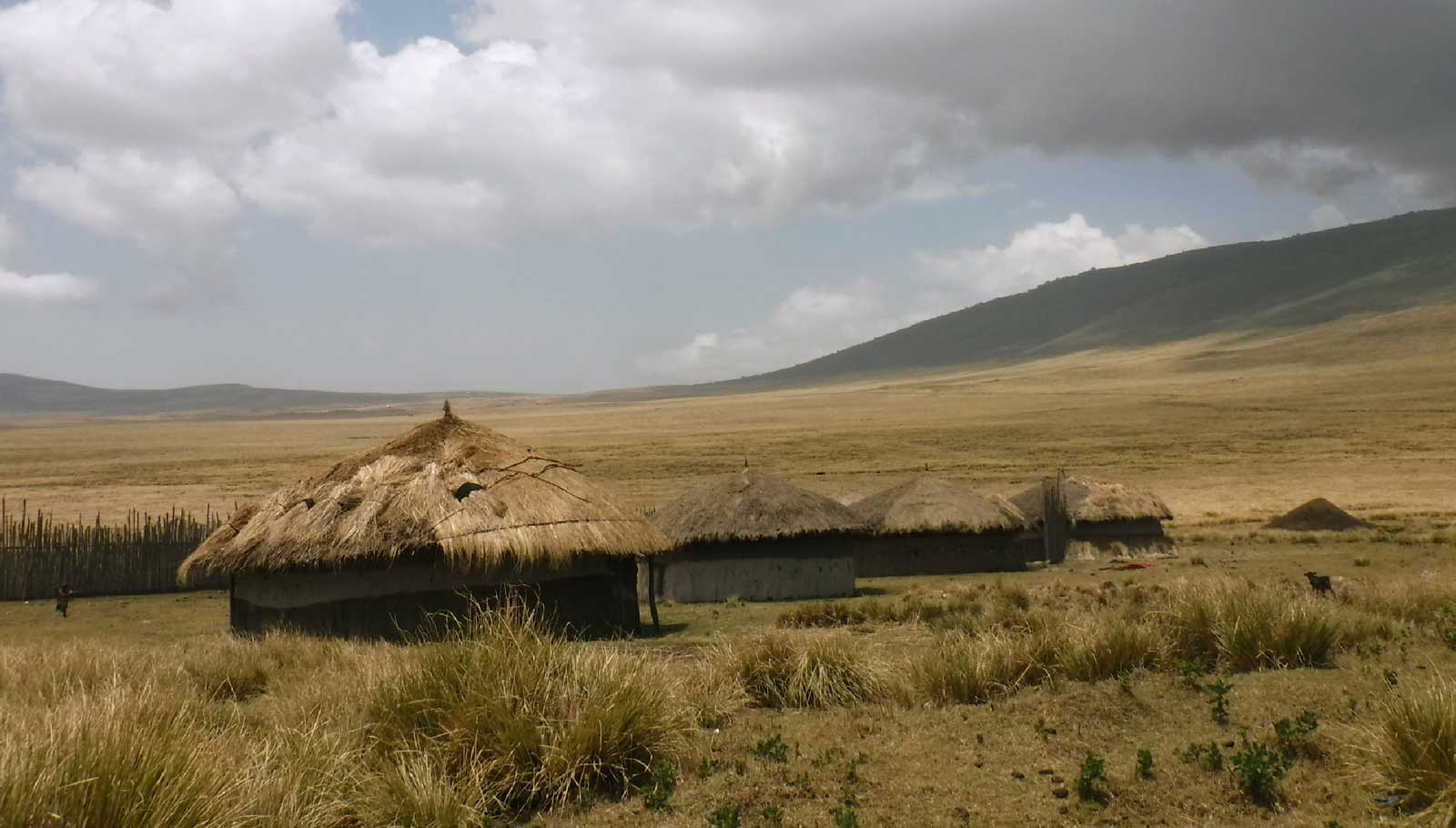 A boma in the Ngorongoro District. 