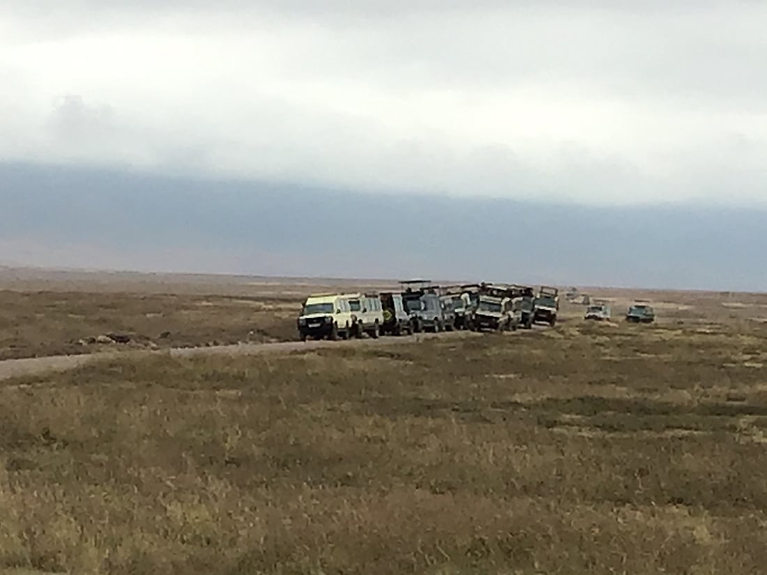 Safari tourists gathering in large crowds in the NCA