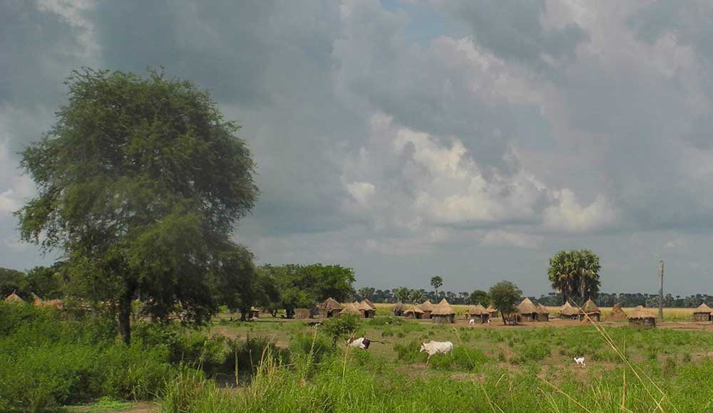 Village in Karuturi lease area, Gambella, Ethiopia. The EU and Germany's €3.8 million S2RAI project will help to perpetuate land grabbing and human rights abuses in the region.