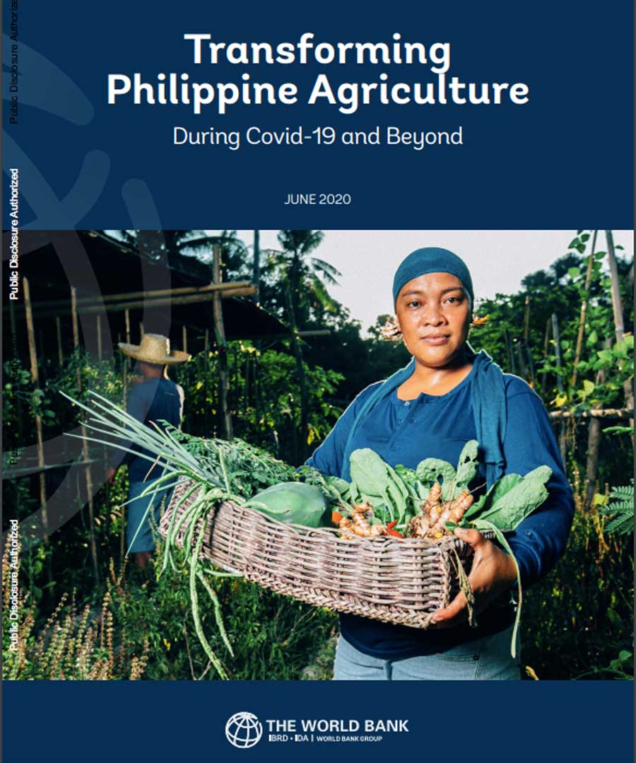 “Transforming Philippine Agriculture During COVID and Beyond,” cover