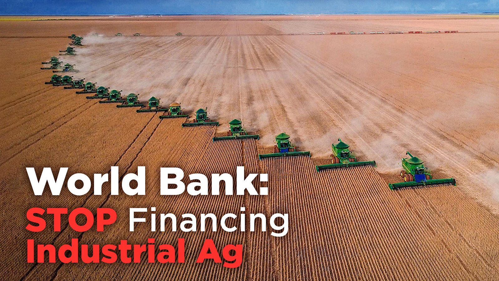 "World Bank: STOP Financing Industrial Ag" graphic 